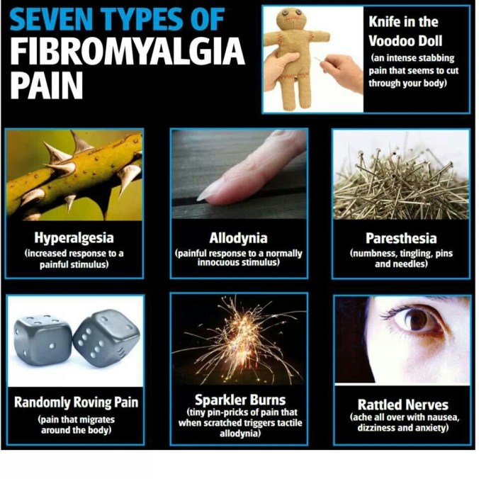 Fibro Pain 2