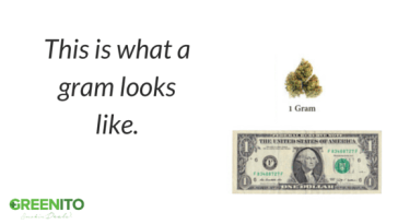 Gram of marijuana